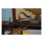 Winchester Model 12 Pump 12 Gauge manufactured in 1928 - Image 7